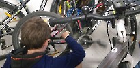Bike Checker 2024