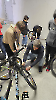 Bike Checker 2024