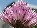 naturbilder