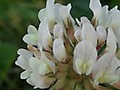 naturbilder