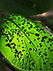 naturbilder