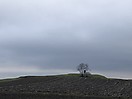 Kartenlesen