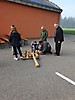 möbel