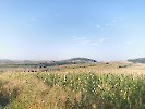 Wandertag4a